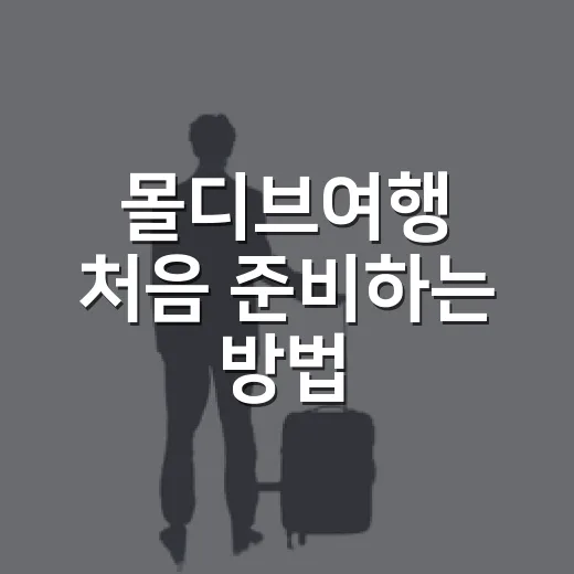몰디브여행 처음 준비하는 방법, 예산부터 일정까지 이렇게 잡으면 편해요 - 요약