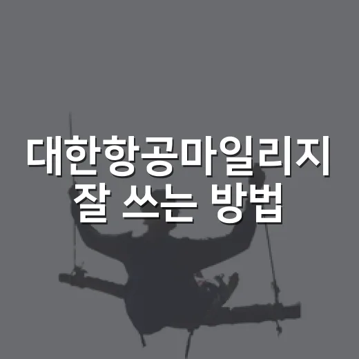 대한항공마일리지 잘 쓰는 방법, 소멸 전에 여행값으로 바꾸려면 이렇게 - 요약