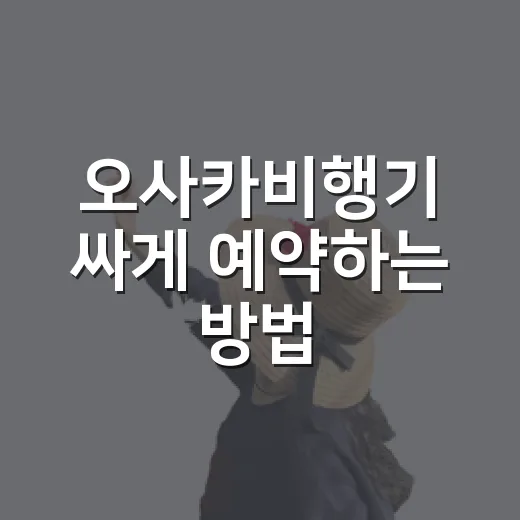 오사카비행기 싸게 예약하는 방법, 공항부터 시간대까지 초보자용 가이드 - 요약