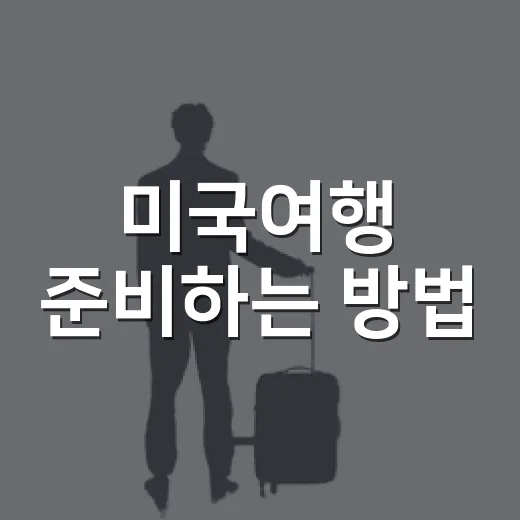 미국여행 준비하는 방법, 초보자가 놓치기 쉬운 것부터 챙기기 - 요약
