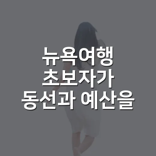 뉴욕여행 초보자가 동선과 예산을 아끼는 방법 - 요약
