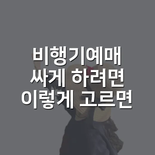 비행기예매 싸게 하려면 이렇게 고르면 됩니다 - 요약