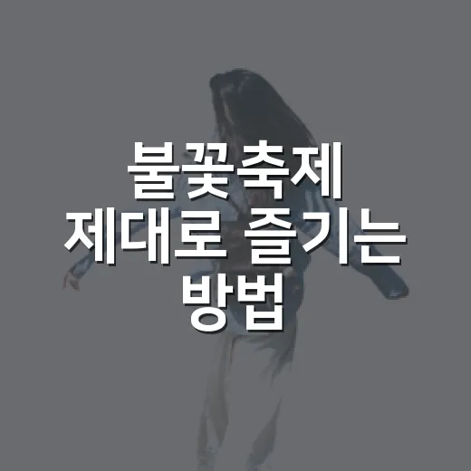 불꽃축제 제대로 즐기는 방법, 자리 잡기부터 귀가까지 이렇게 준비하세요 - 요약