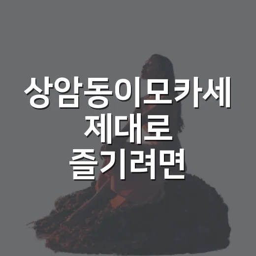 상암동이모카세 제대로 즐기려면 이렇게 예약하고 고르면 됩니다 - 요약