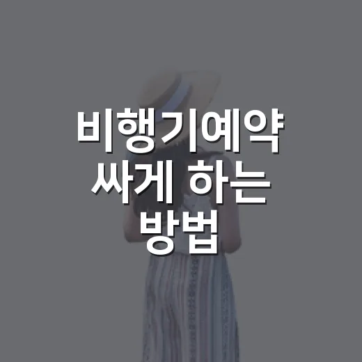 비행기예약 싸게 하는 방법: 초보도 놓치기 쉬운 타이밍과 체크 포인트 - 요약