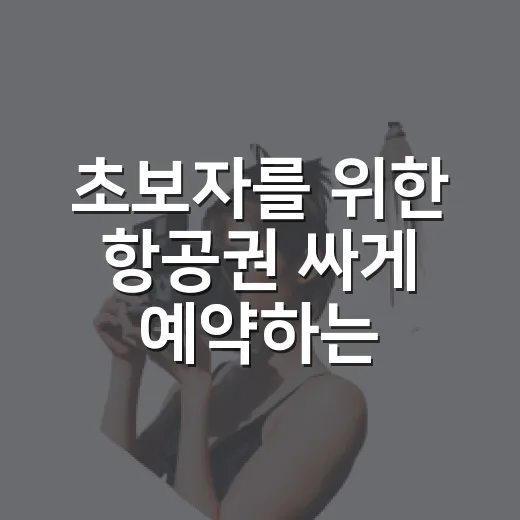 초보자를 위한 항공권 싸게 예약하는 방법 - 요약