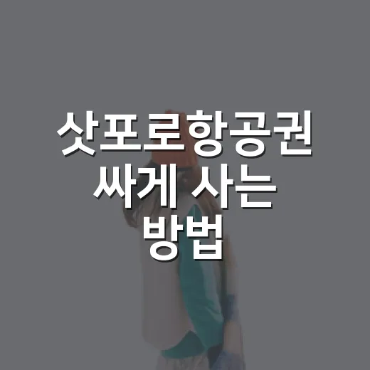 삿포로항공권 싸게 사는 방법, 초보자는 이렇게 고르면 덜 헷갈려요 - 요약