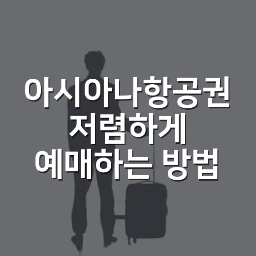아시아나항공권 저렴하게 예매하는 방법, 초보자도 놓치지 않는 체크포인트 - 요약