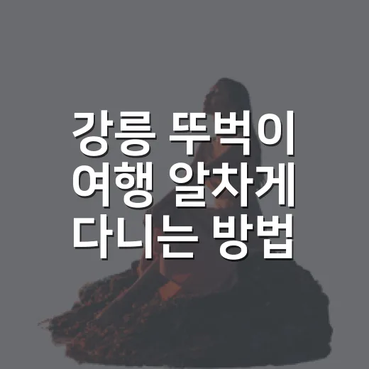 강릉 뚜벅이 여행 알차게 다니는 방법 - 요약