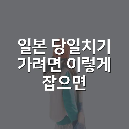 일본 당일치기 가려면 이렇게 잡으면 덜 피곤합니다 - 요약