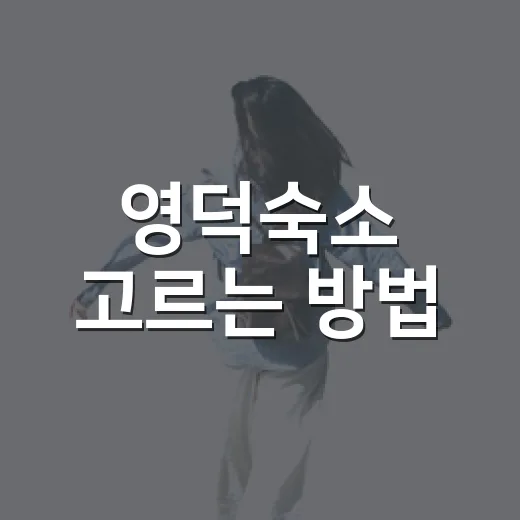 영덕숙소 고르는 방법, 바다뷰부터 가족 여행까지 이렇게 보면 편해요 - 요약