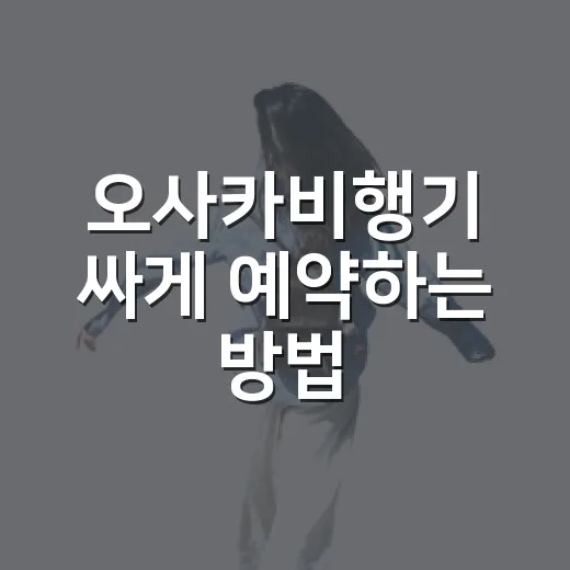 오사카비행기 싸게 예약하는 방법, 초보자도 놓치기 쉬운 체크 포인트 - 요약