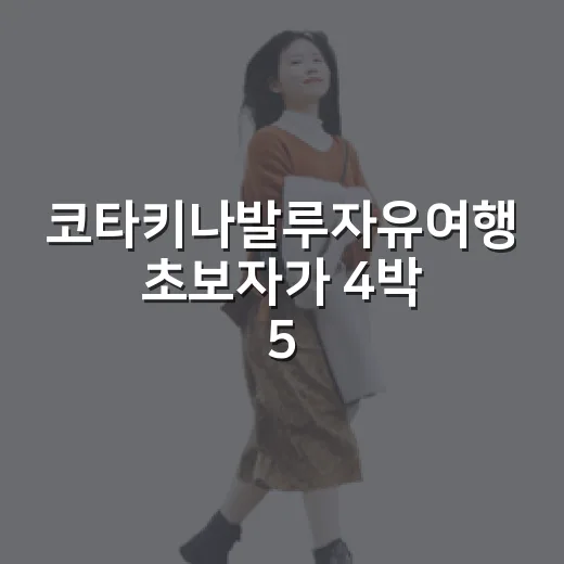 코타키나발루자유여행 초보자가 4박 5일 일정 짜는 방법 - 요약