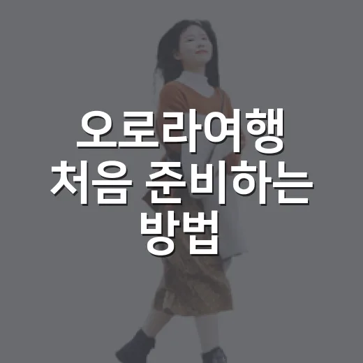 오로라여행 처음 준비하는 방법: 시기, 도시, 준비물까지 이렇게 잡으세요 - 요약