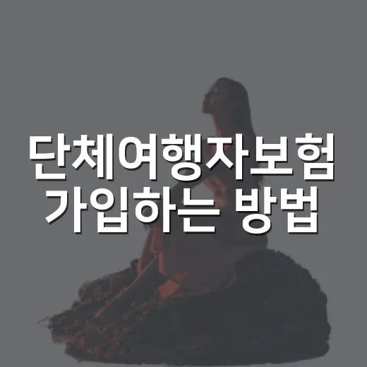 단체여행자보험 가입하는 방법, 인원 많은 여행은 이렇게 준비하세요 - 요약