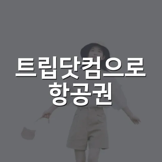 트립닷컴으로 항공권·호텔 예약하려면 이렇게 비교하세요 - 요약