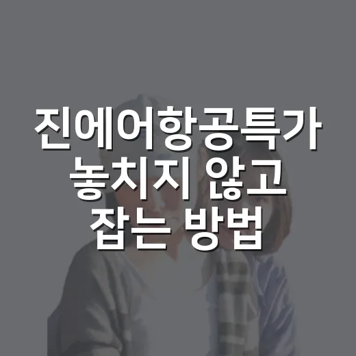 진에어항공특가 놓치지 않고 잡는 방법 - 요약