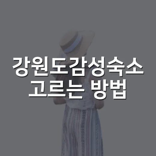 강원도감성숙소 고르는 방법, 바다부터 숲까지 실패 줄이려면 이렇게 - 요약