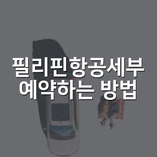 필리핀항공세부 예약하는 방법, 항공권부터 입국 준비까지 - 요약