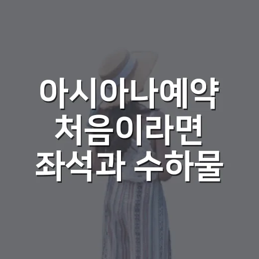 아시아나예약 처음이라면 좌석과 수하물까지 챙기는 방법 - 요약