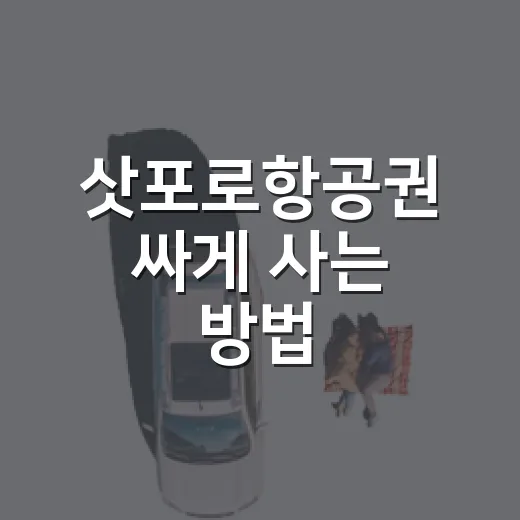 삿포로항공권 싸게 사는 방법, 초보자가 놓치기 쉬운 비용까지 - 요약