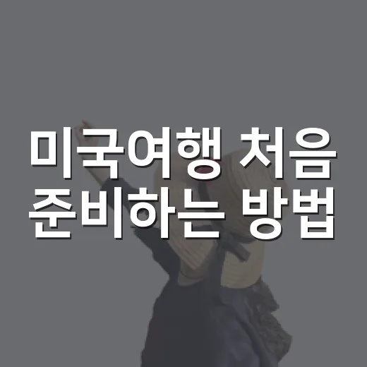 미국여행 처음 준비하는 방법, 일정부터 입국까지 이렇게 챙기기 - 요약