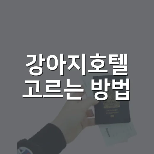 강아지호텔 고르는 방법, 첫 이용 전 확인할 7가지 - 요약