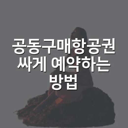 공동구매항공권 싸게 예약하는 방법, 초보자는 이렇게 비교하세요 - 요약