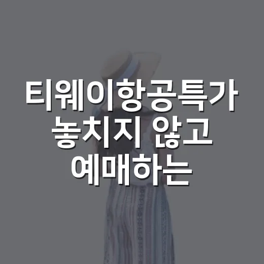 티웨이항공특가 놓치지 않고 예매하는 방법 - 요약