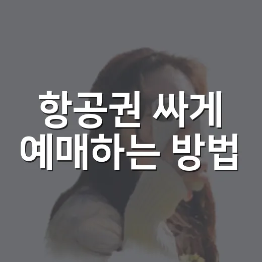 항공권 싸게 예매하는 방법, 날짜와 수수료까지 놓치지 않는 요령 - 요약