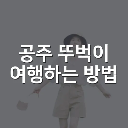 공주 뚜벅이 여행하는 방법, 당일치기 코스는 이렇게 잡으면 편해요 - 요약