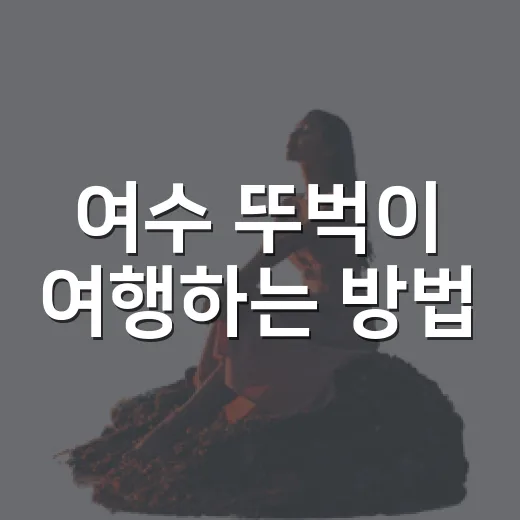 여수 뚜벅이 여행하는 방법, 첫 방문은 이렇게 움직이면 편해요 - 요약
