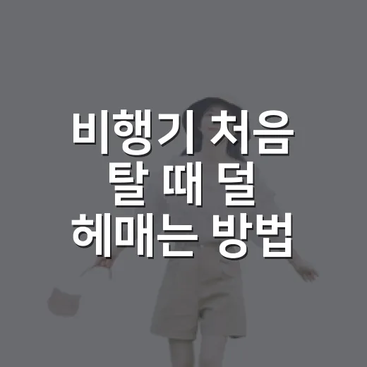 비행기 처음 탈 때 덜 헤매는 방법 - 요약