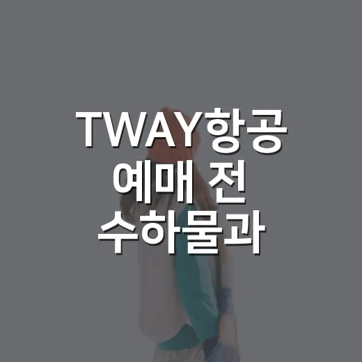 TWAY항공 예매 전 수하물과 체크인 확인하는 방법 - 요약