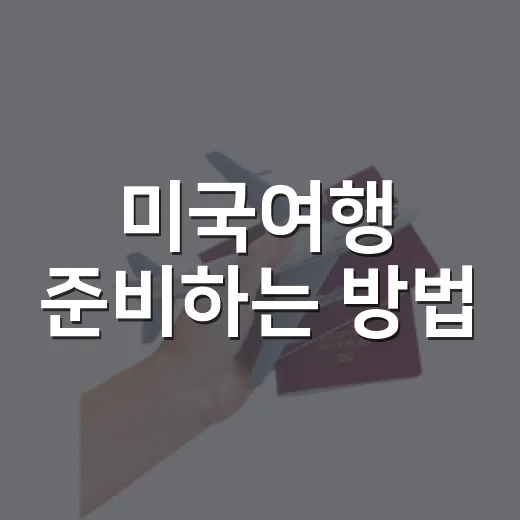 미국여행 준비하는 방법, 초보자가 놓치기 쉬운 것부터 챙기기 - 요약