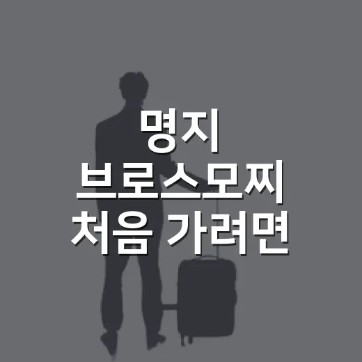 명지 브로스모찌 처음 가려면 이렇게 고르면 됩니다 - 요약