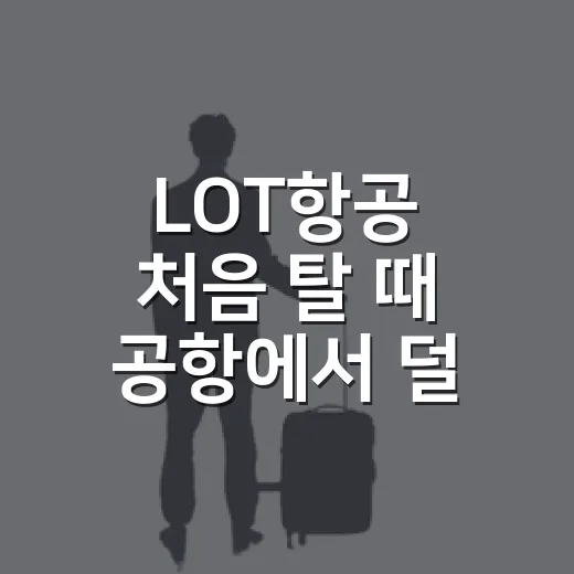 LOT항공 처음 탈 때 공항에서 덜 헤매는 방법 - 요약