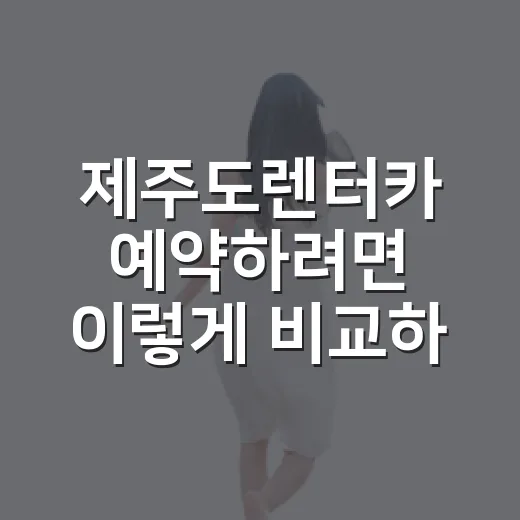 제주도렌터카 예약하려면 이렇게 비교하면 덜 헷갈려요 - 요약