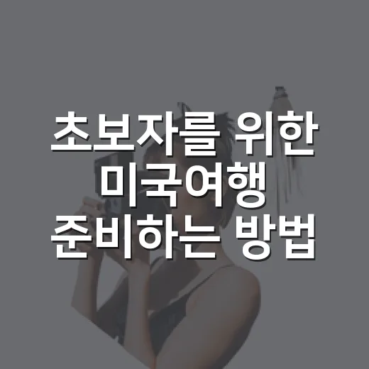 초보자를 위한 미국여행 준비하는 방법 - 요약