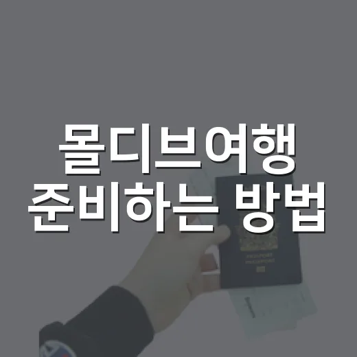 몰디브여행 준비하는 방법, 리조트 고르기부터 예산까지 이렇게 잡으면 편해요 - 요약