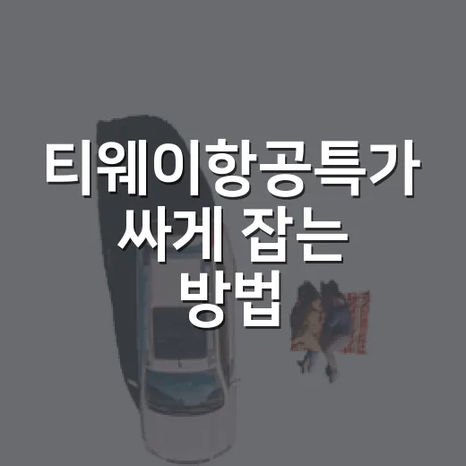 티웨이항공특가 싸게 잡는 방법, 놓치기 쉬운 비용까지 챙기기 - 요약
