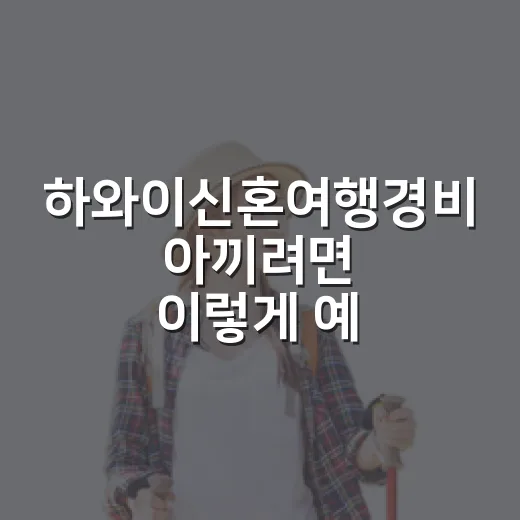 하와이신혼여행경비 아끼려면 이렇게 예산 잡으세요 - 요약