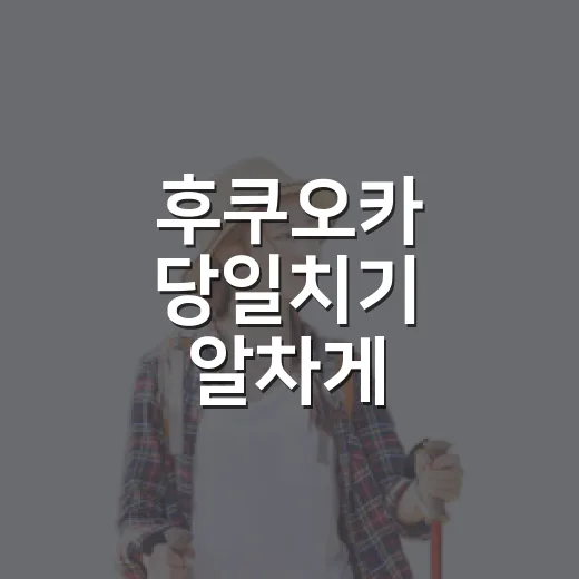 후쿠오카 당일치기 알차게 다녀오는 방법, 공항부터 동선까지 - 요약