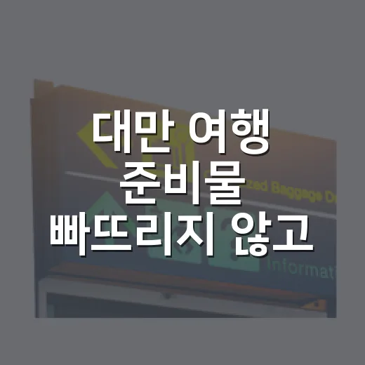 대만 여행 준비물 빠뜨리지 않고 챙기는 방법 - 요약