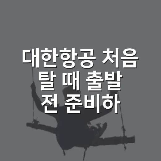 대한항공 처음 탈 때 출발 전 준비하는 방법 - 요약