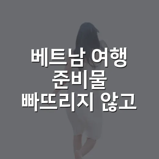 베트남 여행 준비물 빠뜨리지 않고 챙기는 방법 - 요약