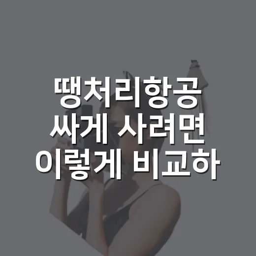 땡처리항공 싸게 사려면 이렇게 비교하세요 - 요약