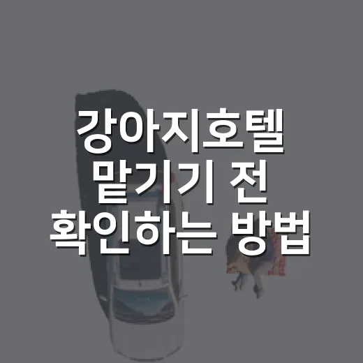 강아지호텔 맡기기 전 확인하는 방법 - 요약