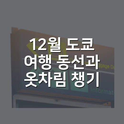 12월 도쿄 여행 동선과 옷차림 챙기는 방법 - 요약