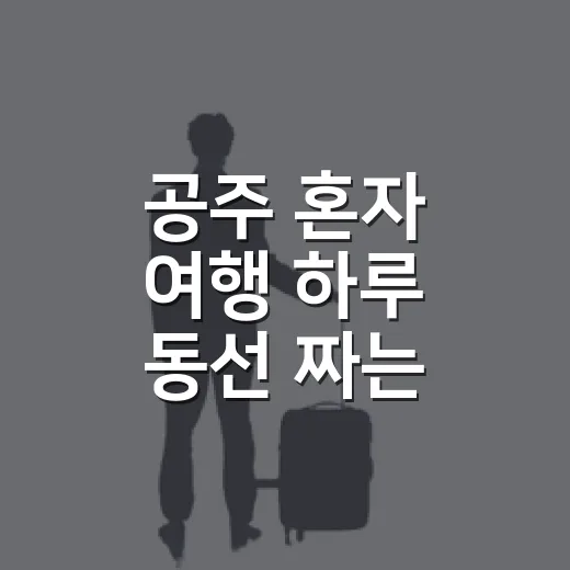 공주 혼자 여행 하루 동선 짜는 방법 - 요약